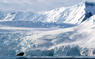 Toxic ‘forever chemicals’ have infiltrated Antarctic waters: Study